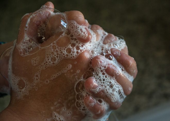 Jak zadbać o higienę międzypalcową naszych pupili