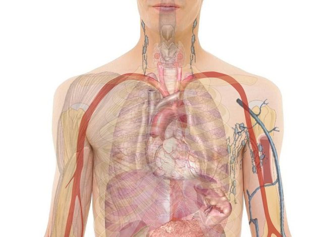 Najlepsze sposoby na pielęgnację gruczołów anatomiowych zwierząt
