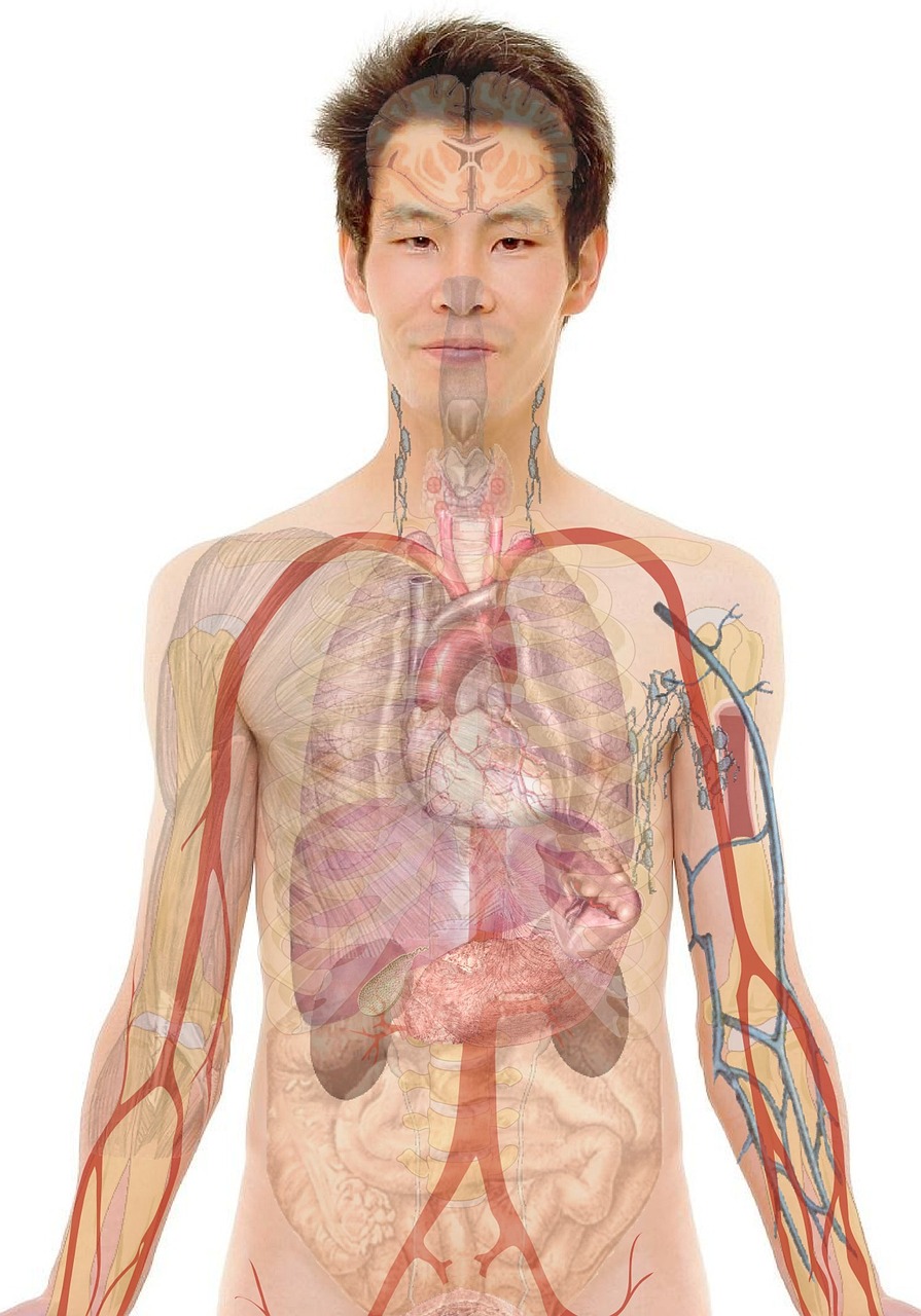 Najlepsze sposoby na pielęgnację gruczołów anatomiowych zwierząt