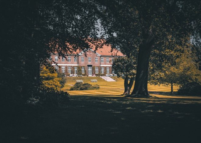 Jak utrzymać nieruchomość w dobrym stanie – porady pielęgnacyjne