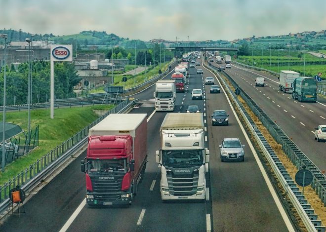 Najważniejsze aspekty pielęgnacji ogólnej transporterów dla zwierząt